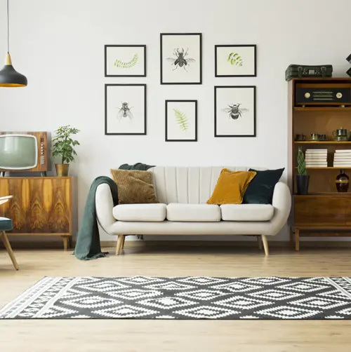 vastu-for-living-room